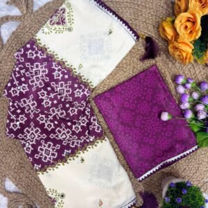 Danamic Saree