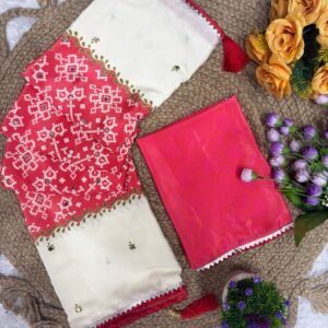 Danamic Saree